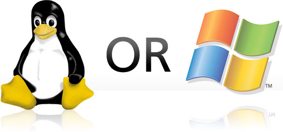 linux or windows Hosting?