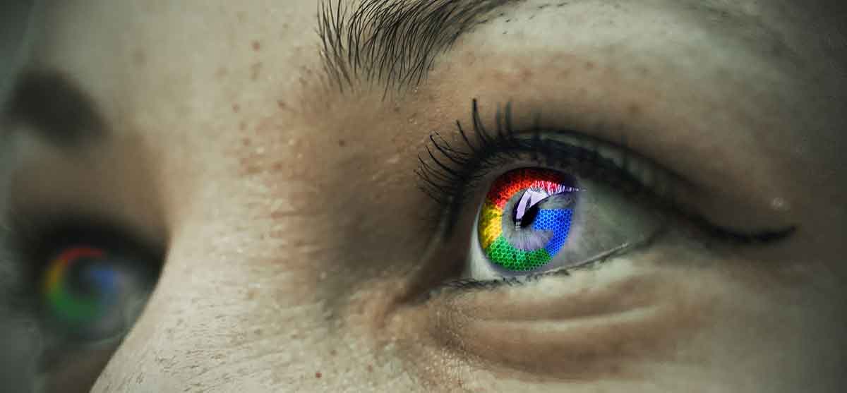 How do I choose a domain name and web hosting provider?