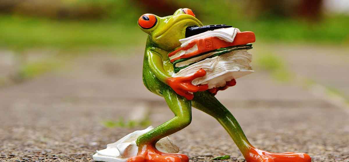 What are full stack web developers?